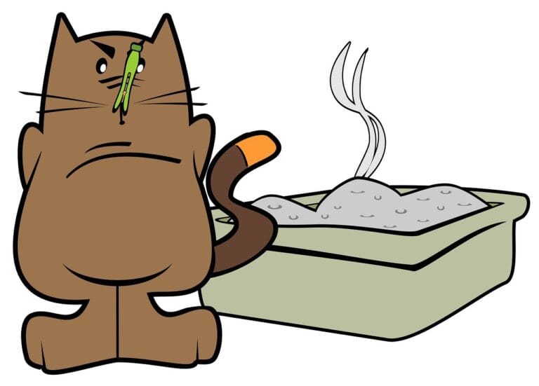 Cat Litter (2010) – Information You Can Absorb
